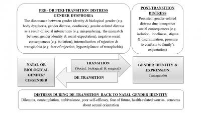Figure 1: Conceptualisation of distress experienced during de-transition based on the patient's narrative and previous literature (Cooper et al. 2020)