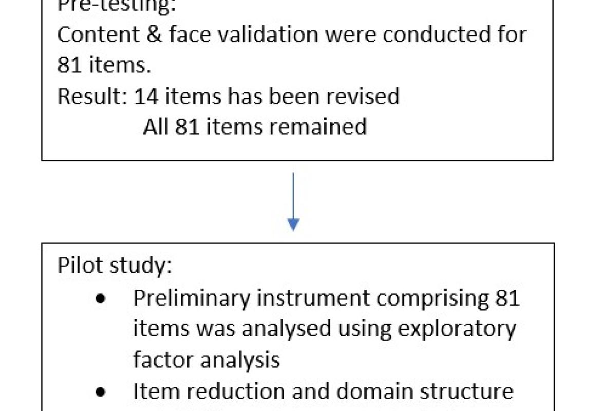 FIGURE 1: Item generation process flow chart