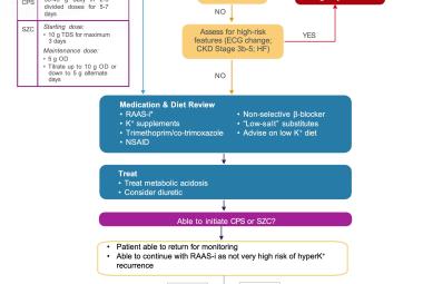 All K+ levels are in mmol/L. *RAAS-i = ACE-i/ARB, ARNI and MRA. [ACE-i: angiotensin-converting enzyme inhibitor; AKI: acute kidney injury; ARB: angiotensin II receptor blocker; ARNI: angiotensin receptor-neprilysin inhibitor; CKD: chronic kidney disease; CPS: calcium polystyrene sulfonate; ECG: electrocardiogram; ED: emergency department; HF: heart failure; K+: potassium; MRA: mineralocorticoid receptor antagonist; NSAID: non-steroidal anti-inflammatory drug; PO: orally; TDS: three times daily; RAAS-i: reni