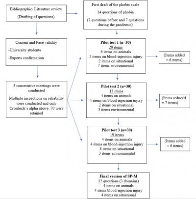Figure 1: The study flow of the development and content validity for SPQ