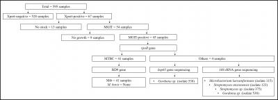 Figure 1: Overview of the study. Sputum samples screening with Xpert, culturing of bacteria in MGIT, and characterization of bacteria with PCR and sequencing